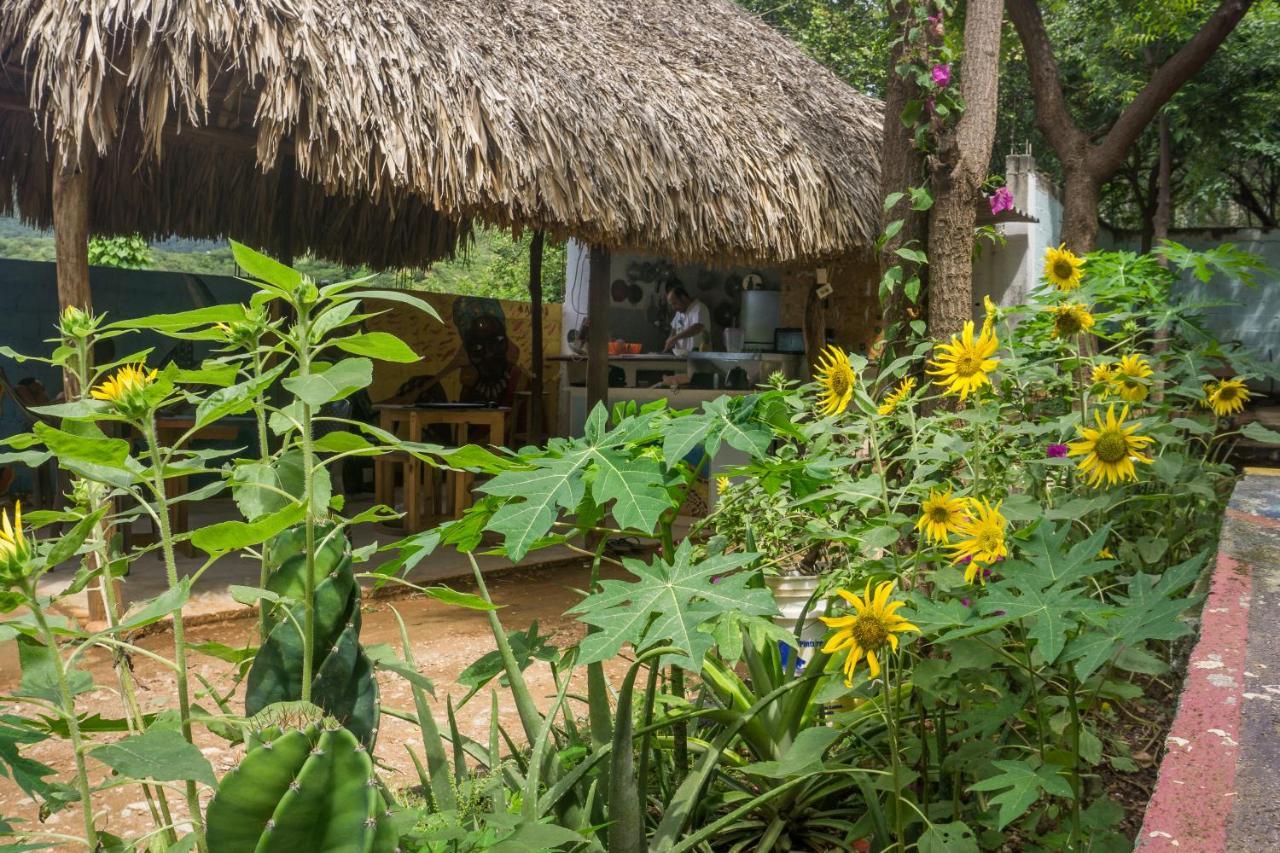 Hostel Hipilandia Taganga Eksteriør bilde
